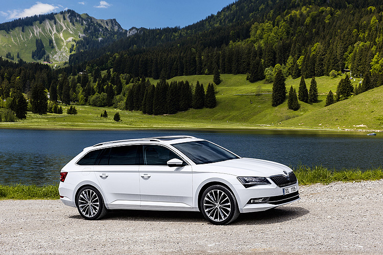 專為愛狗的你所準備《Škoda》推出寵物專屬後座套件 專為愛狗的你所準備《Škoda》推出寵物專屬後座套件