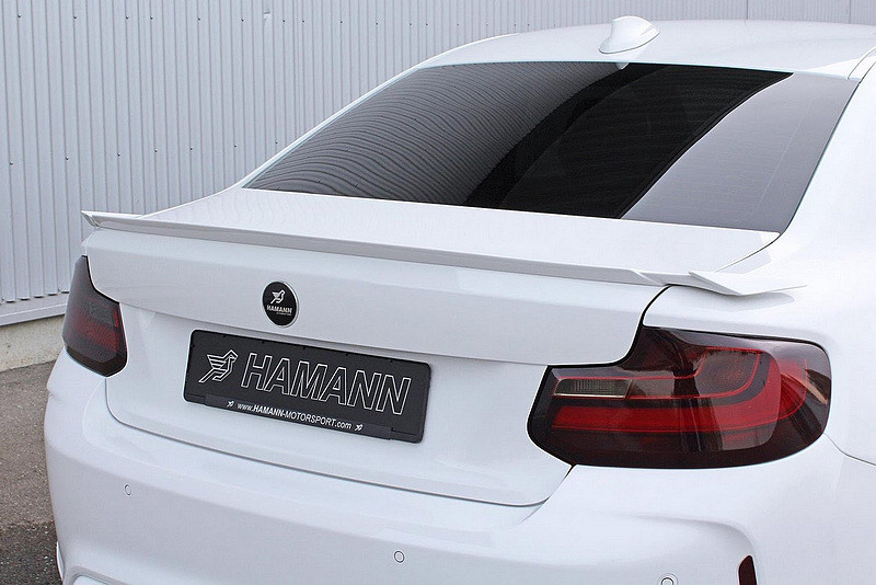 寶馬名家出手 Hamann操刀《BMW F87 M2》更帥又更快 寶馬名家出手 Hamann操刀《BMW F87 M2》更帥又更快