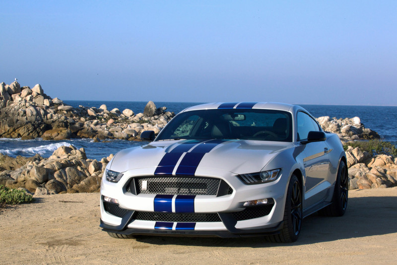 「Track-Ready」廣告不實? 《Shelby GT350》車主向《Ford》發動集體訴訟 「Track-Ready」廣告不實? 《Shelby GT350》車主向《Ford》發動集體訴訟