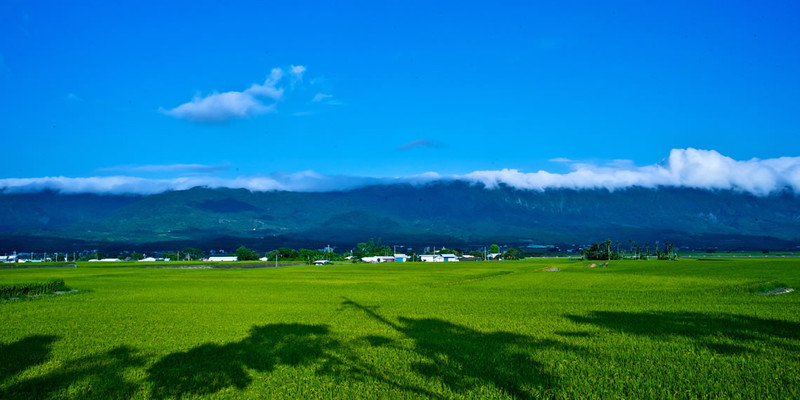 住宿可抵購車費用 台東日暉渡假村打造《Airstream》露營車體驗區 住宿可抵購車費用 台東日暉渡假村打造《Airstream》露營車體驗區
