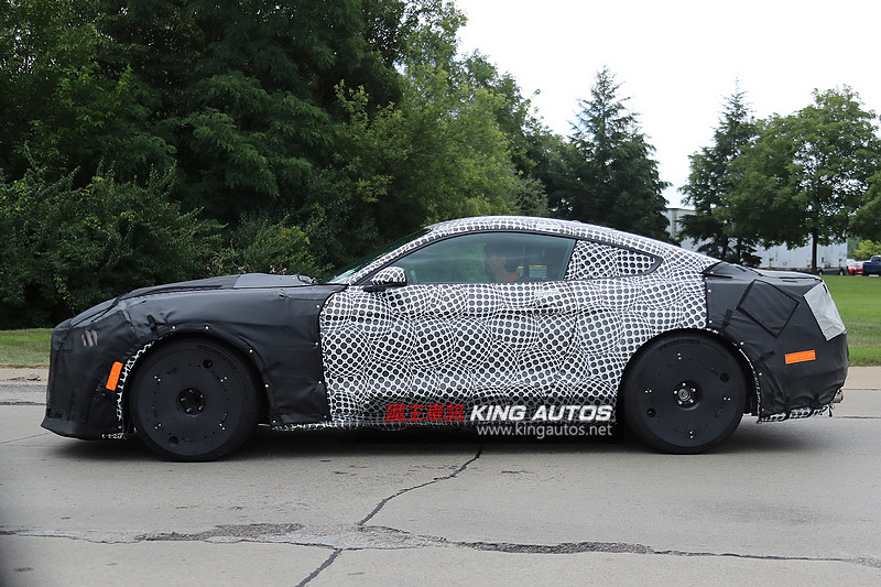 找上911 GT3伴遊 改款《Ford Shelby GT350 Mustang》間諜照再曝光 找上911 GT3伴遊 改款《Ford Shelby GT350 Mustang》間諜照再曝光