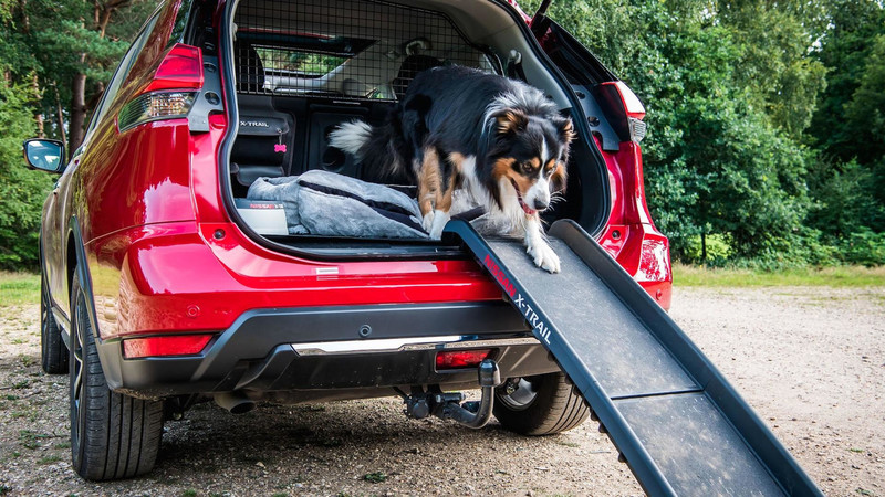 汪星人專屬《Nissan X-Trail》貼心Paw Pack套件英國開賣 汪星人專屬《Nissan X-Trail》貼心Paw Pack套件英國開賣