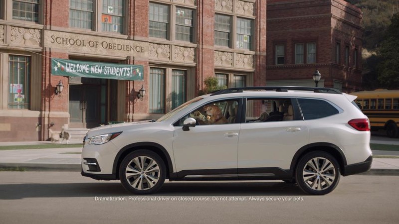 強打《Subaru Ascent》品牌最新廣告影片汪星人當主角 強打《Subaru Ascent》品牌最新廣告影片汪星人當主角