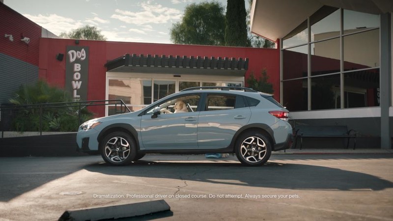 強打《Subaru Ascent》品牌最新廣告影片汪星人當主角 強打《Subaru Ascent》品牌最新廣告影片汪星人當主角