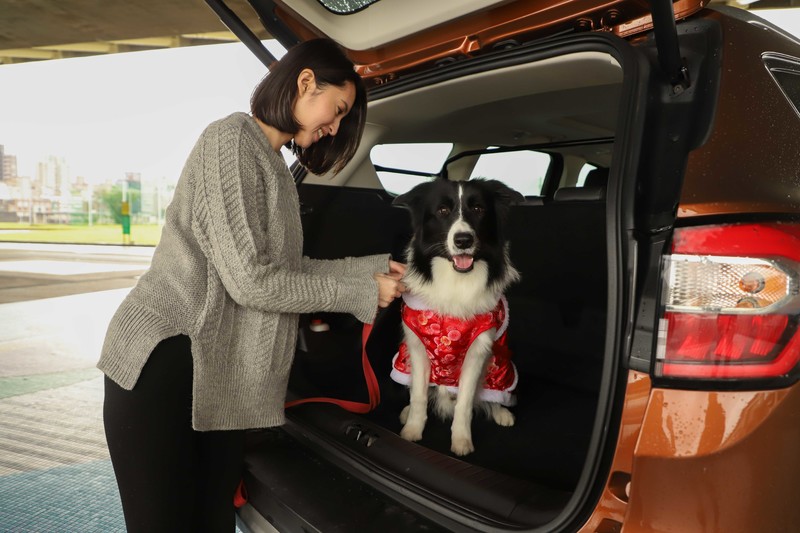 開車出遊如何安頓毛小孩?《Ford》分享7大攻略確保行車安全 開車出遊如何安頓毛小孩?《Ford》分享7大攻略確保行車安全