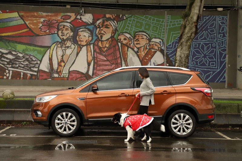 開車出遊如何安頓毛小孩?《Ford》分享7大攻略確保行車安全 開車出遊如何安頓毛小孩?《Ford》分享7大攻略確保行車安全