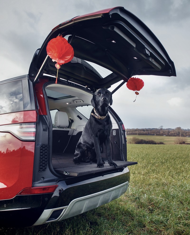 讓你帶寵物出遊更安心 《Land Rover》推出寵物專屬套件 讓你帶寵物出遊更安心 《Land Rover》推出寵物專屬套件