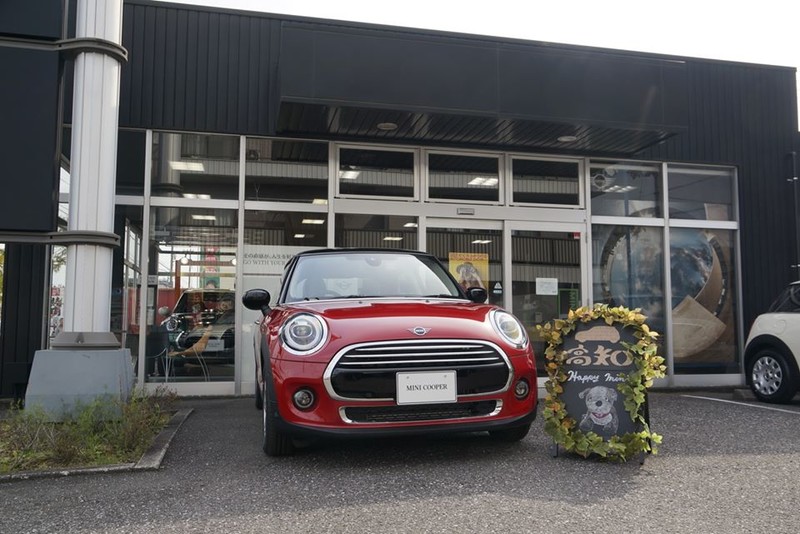 全球唯一 Mini Cooper 聯名 高知の財布 高調花紋特仕上身 國王車訊kingautos