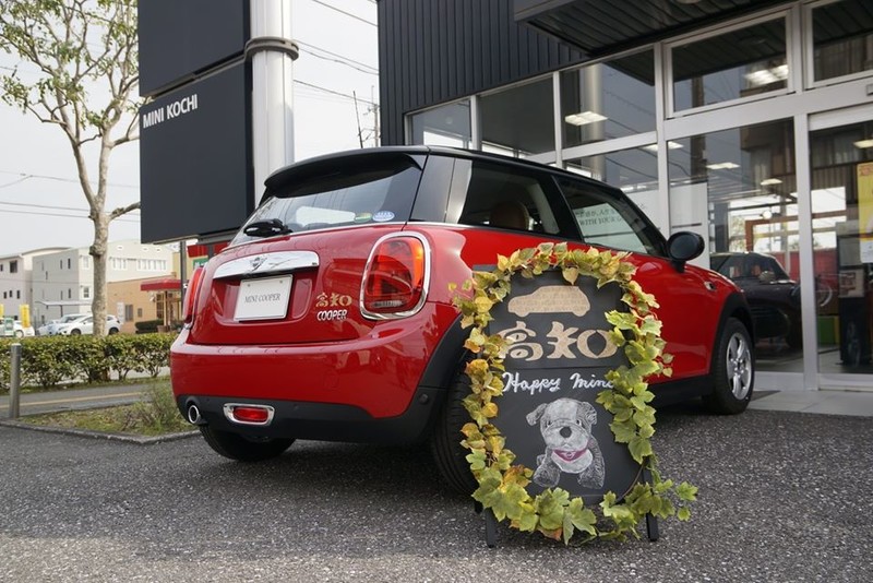 全球唯一 Mini Cooper 聯名 高知の財布 高調花紋特仕上身 國王車訊kingautos