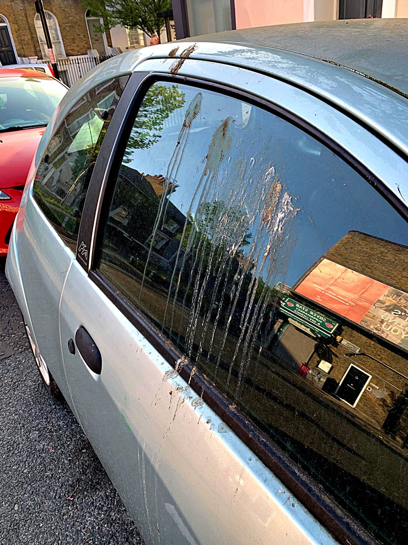 歐洲《Ford》 以人工鳥屎研究對於汽車烤漆的影響 歐洲《Ford》 以人工鳥屎研究對於汽車烤漆的影響