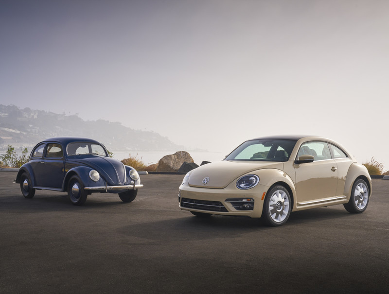 《歐拉龐克貓》長得太像《Beetle》|《Volkswagen》不排除採取法律行動 《歐拉龐克貓》長得太像《Beetle》|《Volkswagen》不排除採取法律行動
